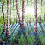 Bluebell Woods