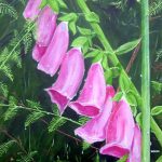 Foxgloves