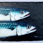 Mackerel on Slate