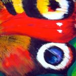 Peacock Butterfly